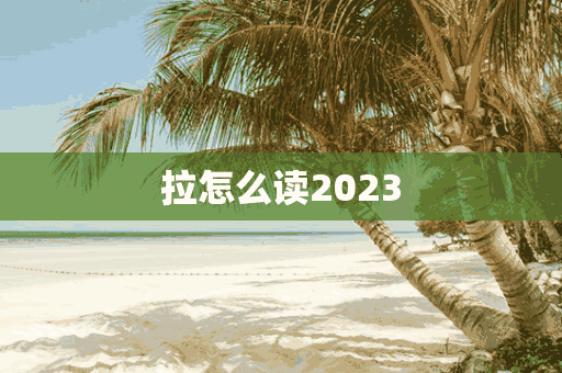 拉怎么读2023(拉怎么读 拼音)